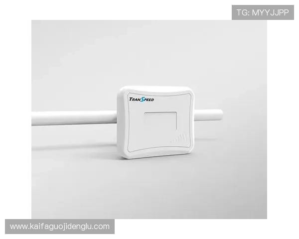 凯发网网站登录入口常用登录方式介绍，支持多种快捷登录方式提升效率